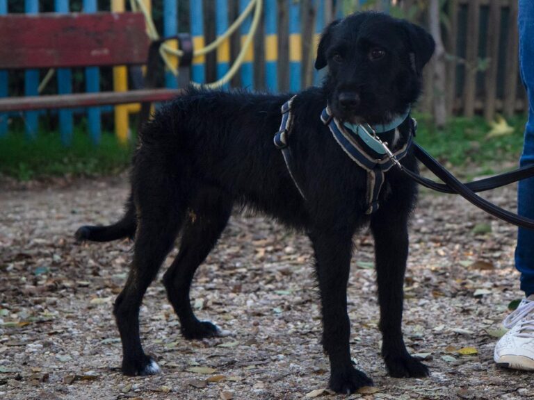 multimedia-foto32080-680-1