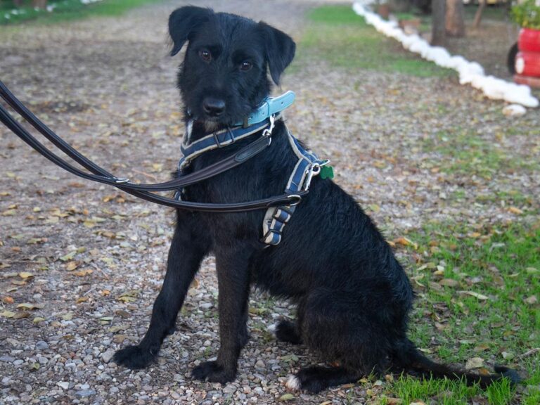 multimedia-foto32081-681-1