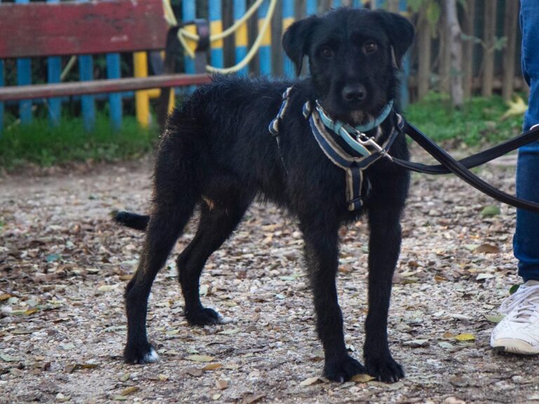 multimedia-foto32082-681-1