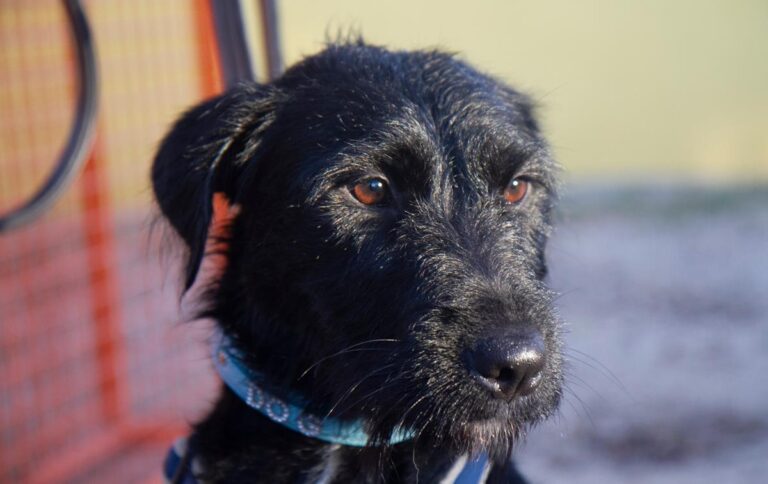 multimedia-foto32083-682-1