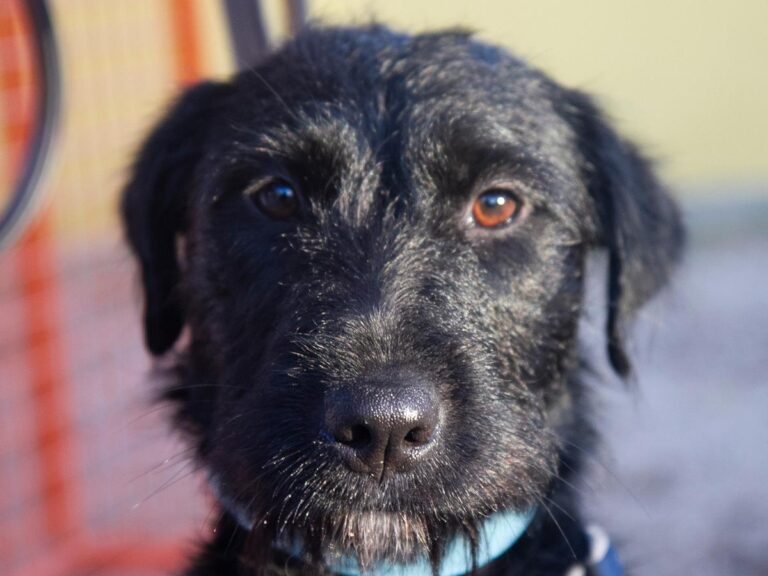 multimedia-foto32084-683-1