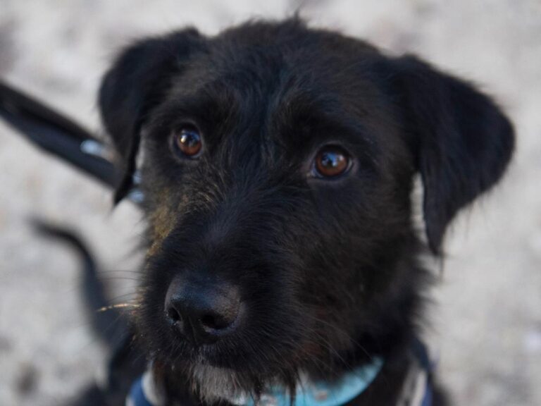 multimedia-foto32085-683-1