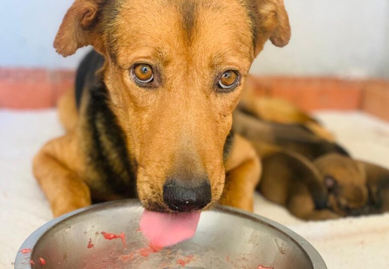 multimedia-foto32106-54-1