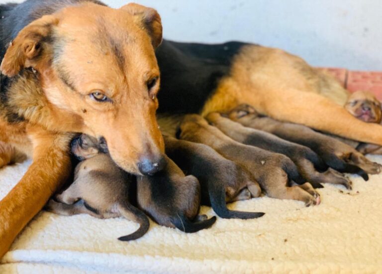 multimedia-foto32107-54-1