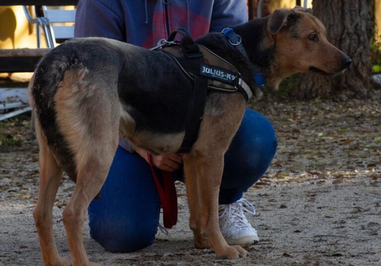 multimedia-foto32108-55-1