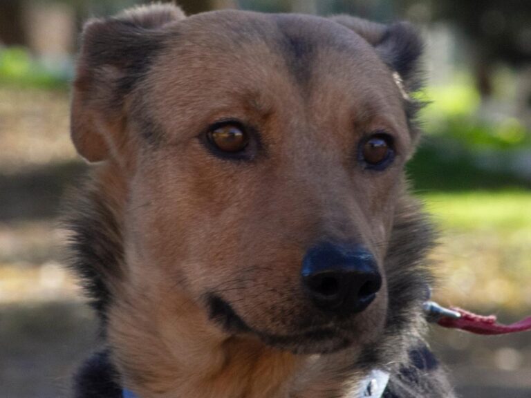 multimedia-foto32110-56-1