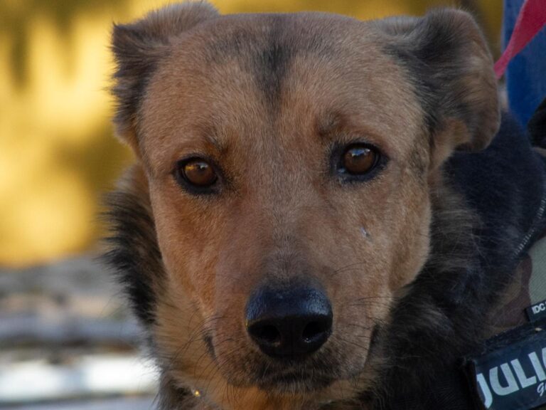 multimedia-foto32111-57-1