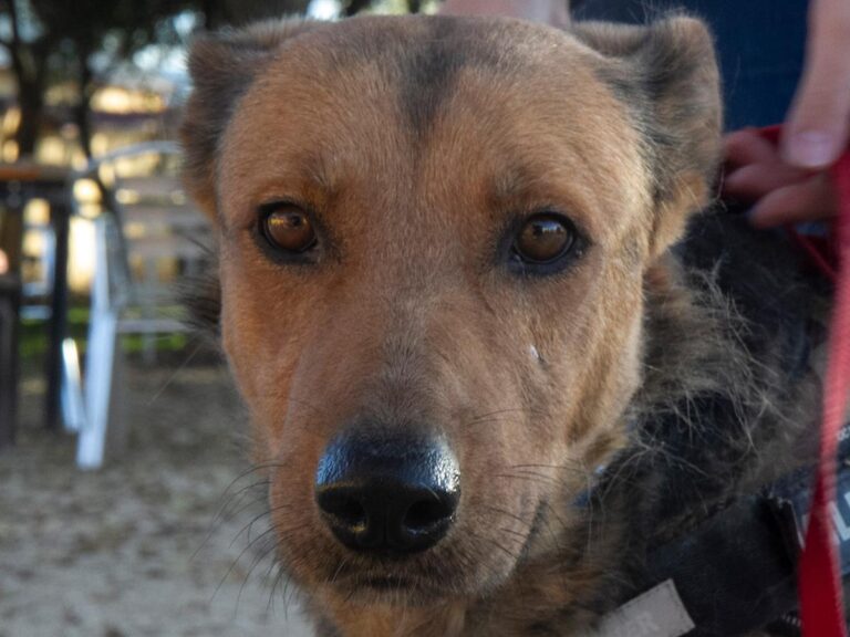 multimedia-foto32112-57-1