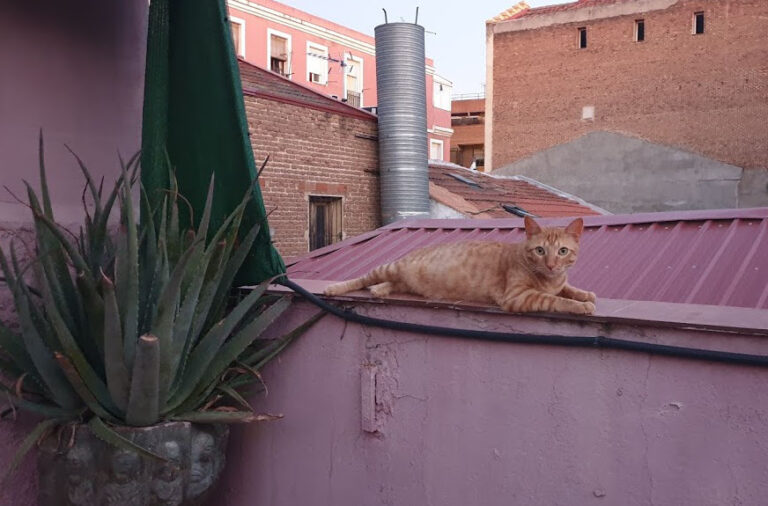 multimedia-foto32120-279-1