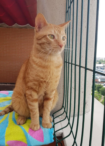 multimedia-foto32121-280-1