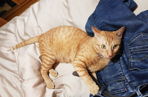 multimedia-foto32123-281-1