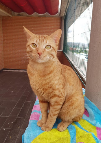 multimedia-foto32124-281-1