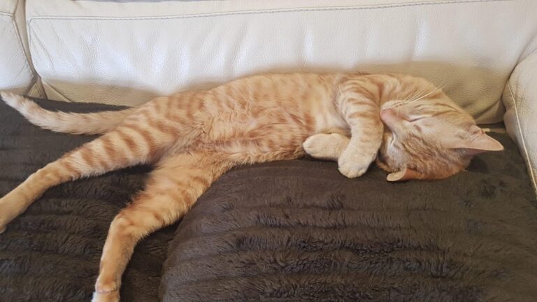 multimedia-foto32125-282-1