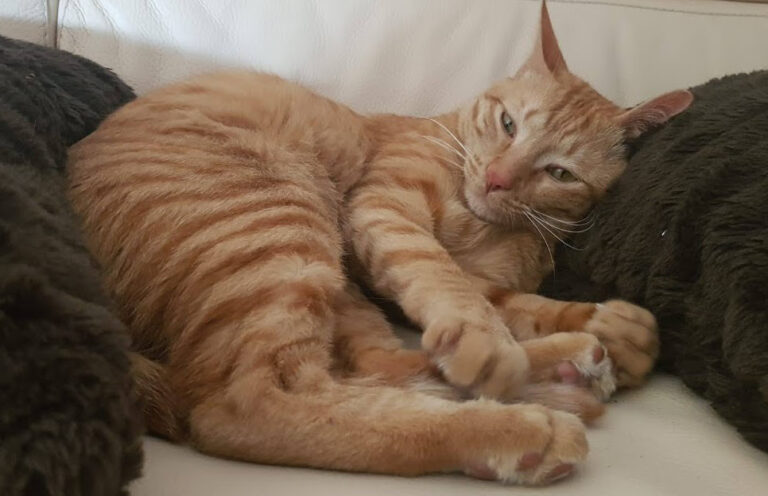 multimedia-foto32128-283-1