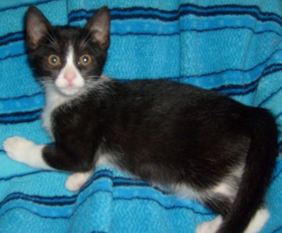 multimedia-foto35310-739-3