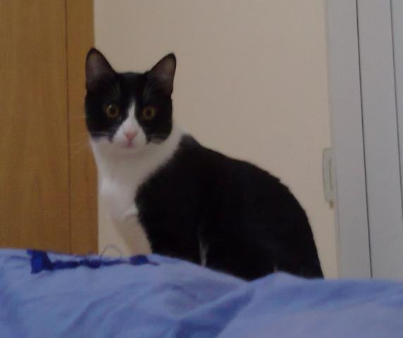 multimedia-foto35312-150-3