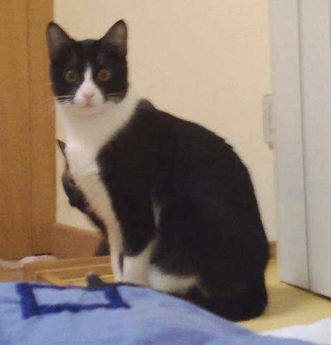 multimedia-foto35313-333-3