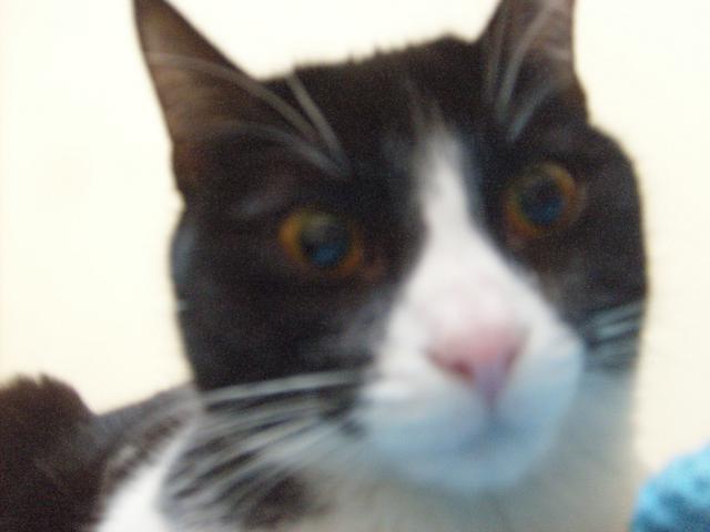 multimedia-foto35314-498-3