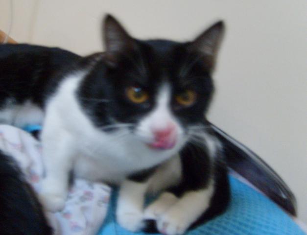 multimedia-foto35315-643-3