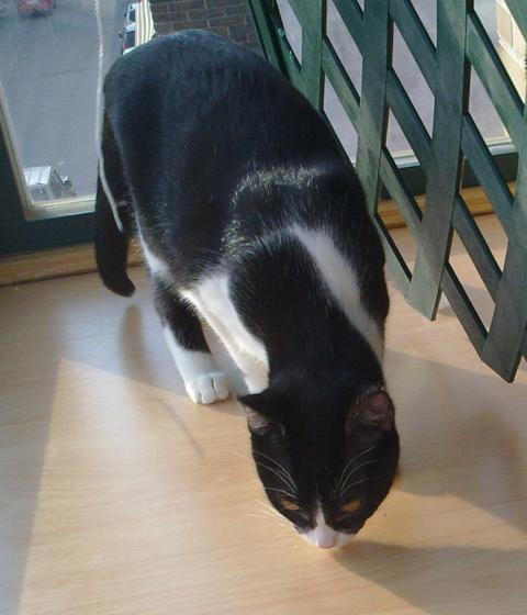 multimedia-foto35316-765-3