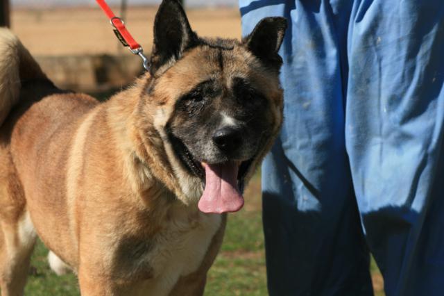 multimedia-foto35318-528-3