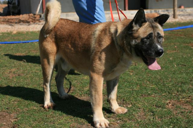 multimedia-foto35319-748-3