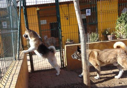 multimedia-foto35322-341-3