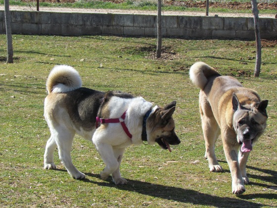 multimedia-foto35324-649-3