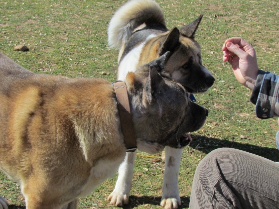 multimedia-foto35325-771-3