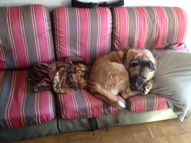 multimedia-foto35327-921-3