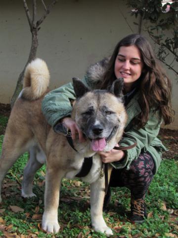 multimedia-foto35330-7-3