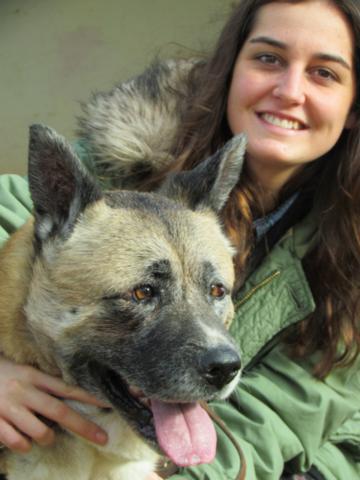 multimedia-foto35331-40-3