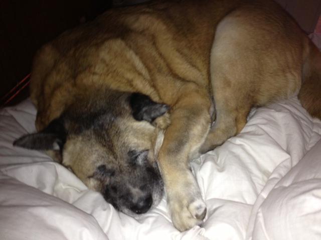 multimedia-foto35332-68-3