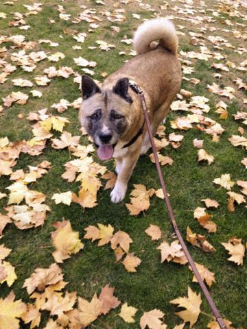 multimedia-foto35333-91-3