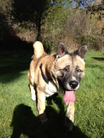 multimedia-foto35335-126-3