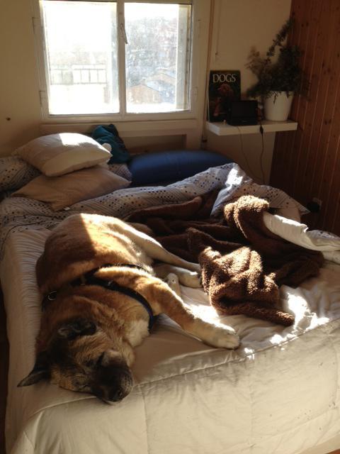 multimedia-foto35336-136-3