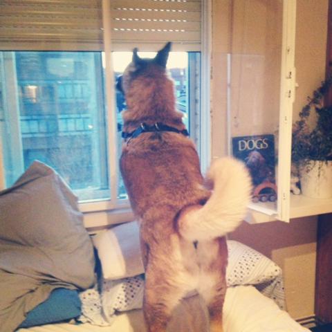 multimedia-foto35338-143-3