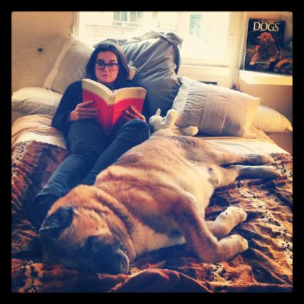 multimedia-foto35339-146-3