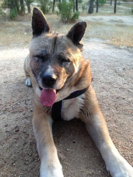 multimedia-foto35341-152-3