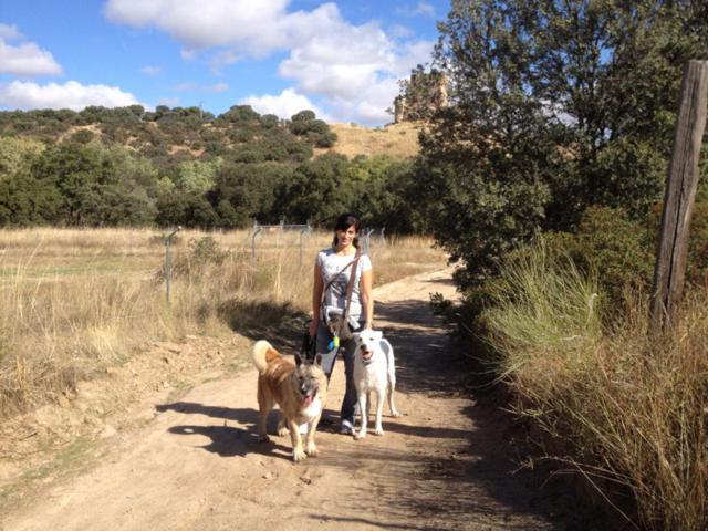 multimedia-foto35352-163-3