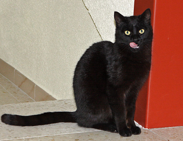 multimedia-foto35365-344-3