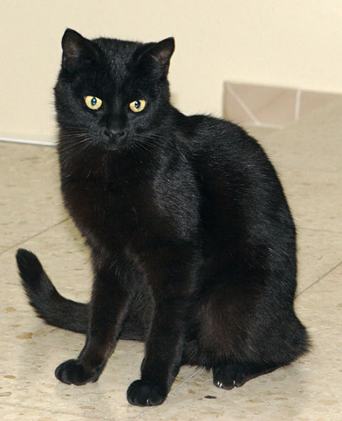 multimedia-foto35366-569-3