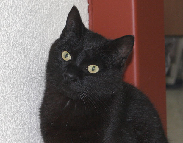 multimedia-foto35367-793-3