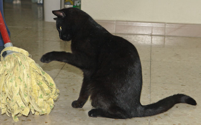 multimedia-foto35370-374-3