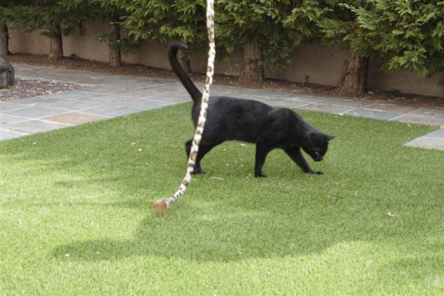 multimedia-foto35375-928-3