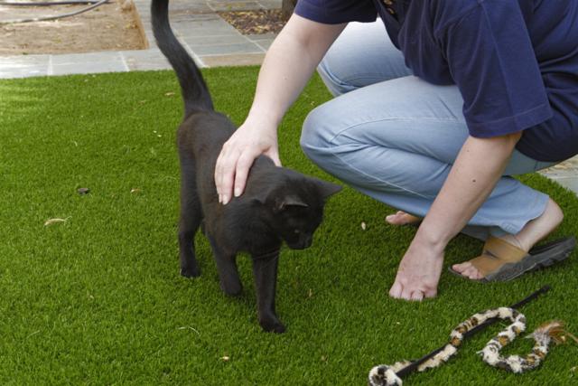 multimedia-foto35377-12-3