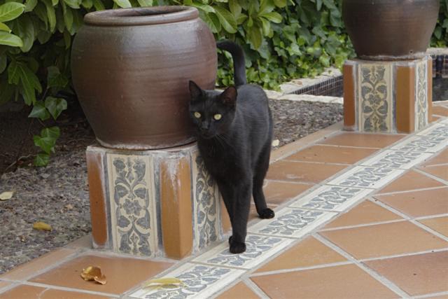 multimedia-foto35378-44-3