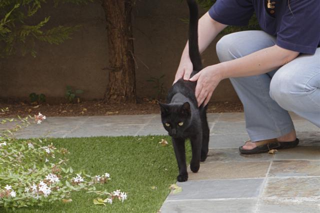 multimedia-foto35379-72-3