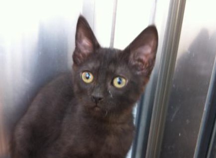 multimedia-foto35413-389-3