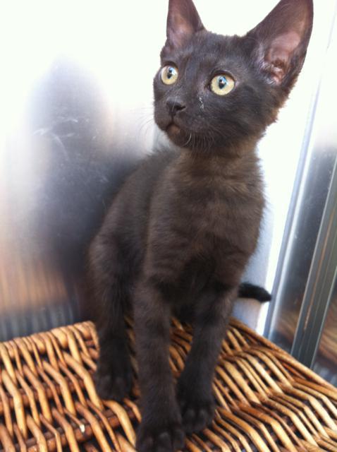 multimedia-foto35414-613-3